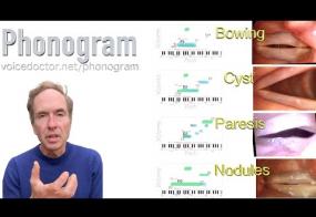 Phonogram - identifying a voice disorder